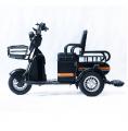  Forte CARGO-P650 